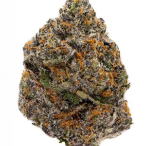 Black Cherry Gelato Strain – By Backpackboyz x 5 Points
