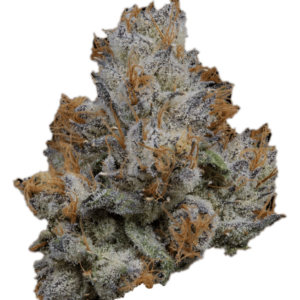 Lemon Cherry Gelato Strain – By Backpackboyz