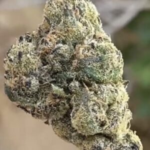Cherry Runtz Strain by DOJA