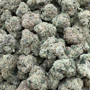 Code Red – Licensed Indoor
