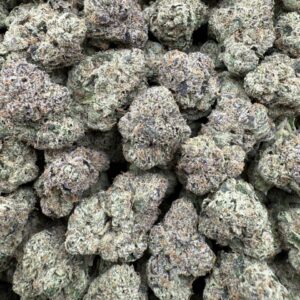 Presidential Candy – Indoor