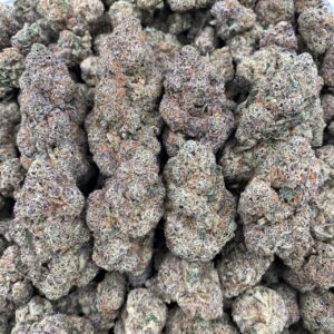 Hawaiian Snow – Licensed Grade A+ Indoor