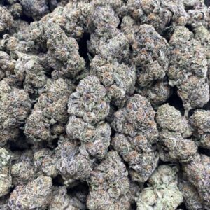 Candied Yams – Licensed Branded Indoor Passer