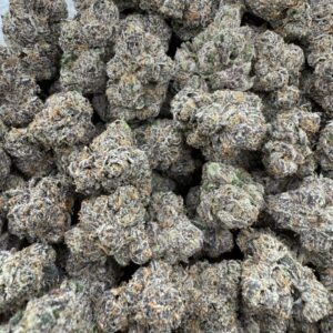 Street Fighter – Licensed Exotic