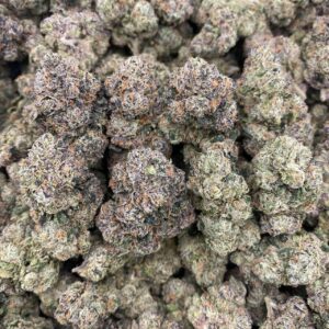 Galactic Warheadz – Indoor