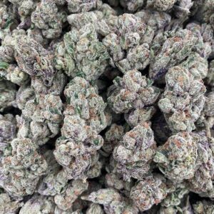 Double Runtz – Indoor