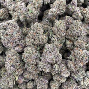 Purp Popz – Indoor