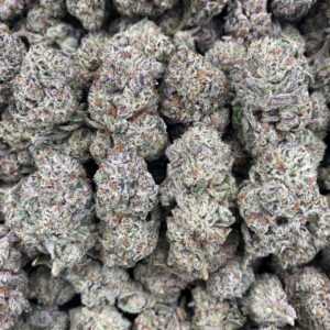 Astro Candy – Indoor