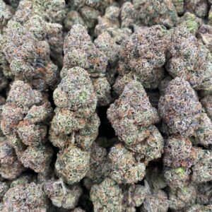 Bolo Candy – Indoor