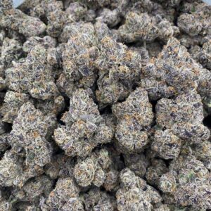 Super Lemon Gelato – Exotics
