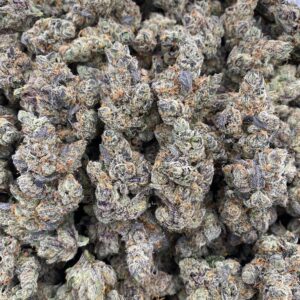 Blue Candy Pop – Exotics