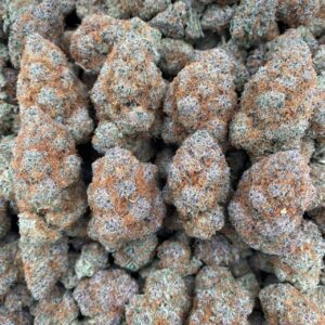 Super Boof – Indoor