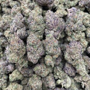 WokHart – Indoor