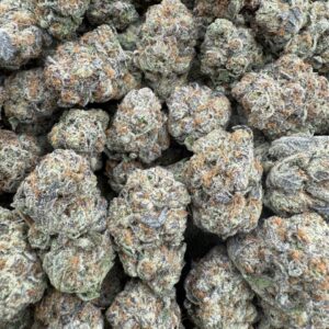 Blue Guava Gelato – Indoor