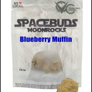 Spacebuds Blueberry Muffin MoonRocks – 4g Flower